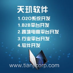 深圳B2B网站开发团队 天玑软件sell P2P价格及规格型号